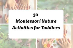 httpshelthdestiny.commontessori-nature-activities-toddlers_20251127092736