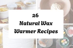 httpshelthdestiny.comnatural-wax-warmer-recipes_20251127083533