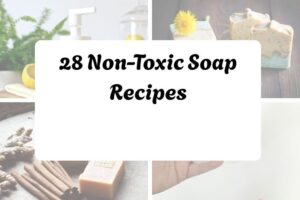 httpshelthdestiny.comnon-toxic-soap-recipes_20251127093006