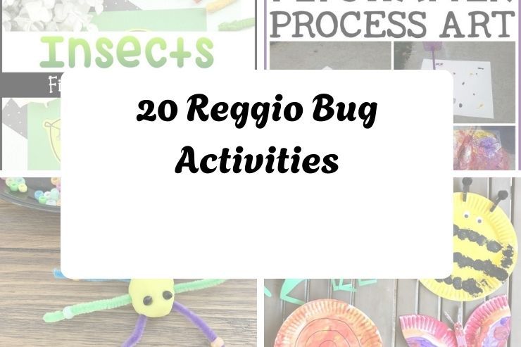 20 Reggio Bug Activities