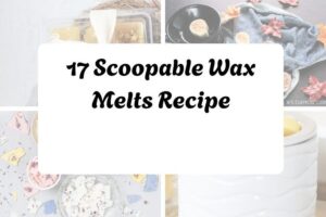 httpshelthdestiny.comscoopable-wax-melts-recipe_20251127092034