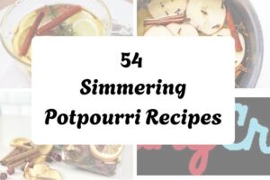 54 Simmering Potpourri Recipes httpshelthdestiny.comsimmering-potpourri-recipes_20251127083435