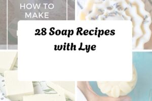 httpshelthdestiny.comsoap-recipes-lye_20251127092151