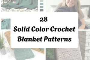 httpshelthdestiny.comsolid-color-crochet-blanket-patterns_20251127083428