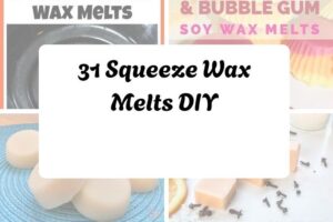 httpshelthdestiny.comsqueeze-wax-melts-diy_20251127092637