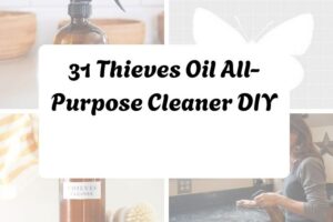 httpshelthdestiny.comthieves-oil-all-purpose-cleaner-diy_20251127092749