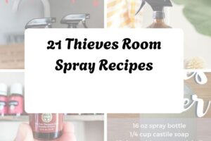 httpshelthdestiny.comthieves-room-spray-recipes_20251127091449