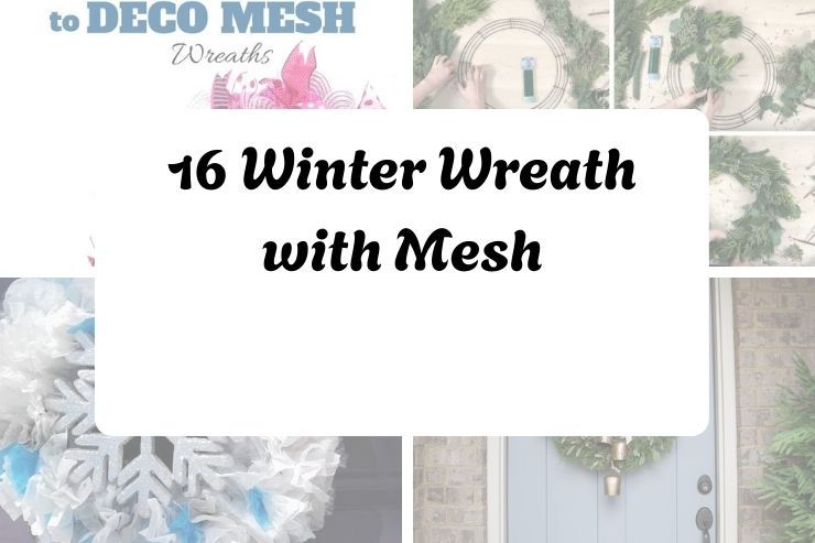 16 Winter Wreath with Mesh