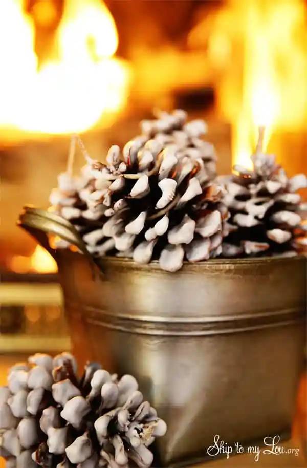 10 Pine Cone Fire Starters Image