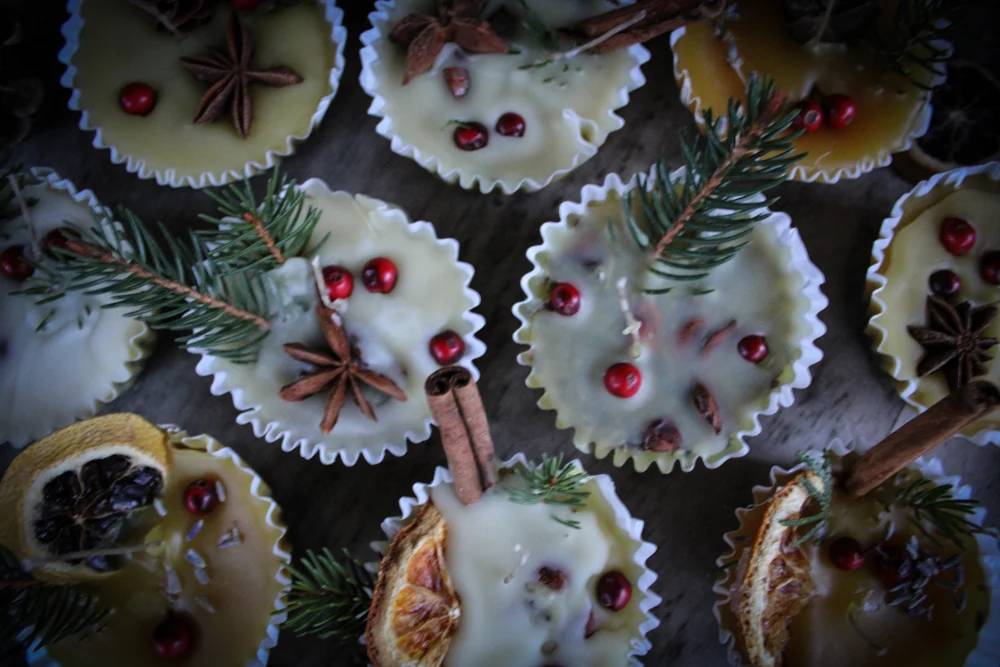 10 Pine Cone Fire Starters Image