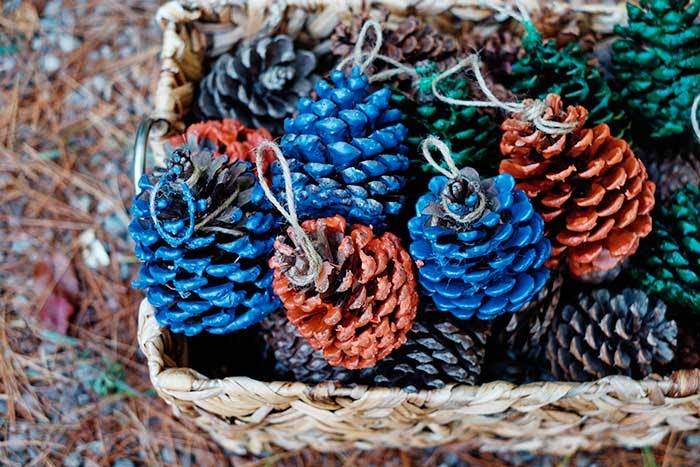 10 Pine Cone Fire Starters Image