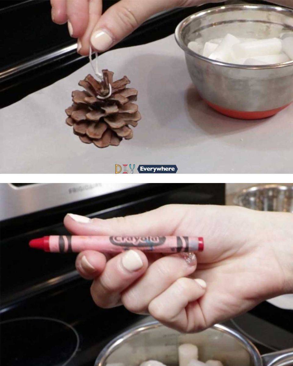 10 Pine Cone Fire Starters Image
