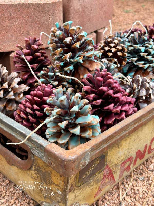 10 Pine Cone Fire Starters Image