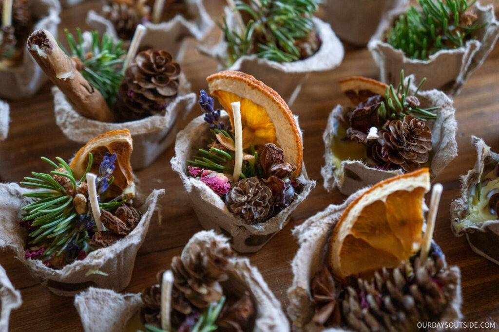 10 Pine Cone Fire Starters Image