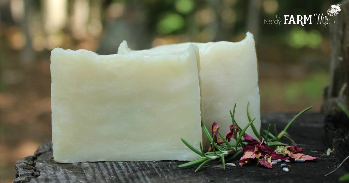 24 Melt and Pour Shampoo Bar Recipes Image