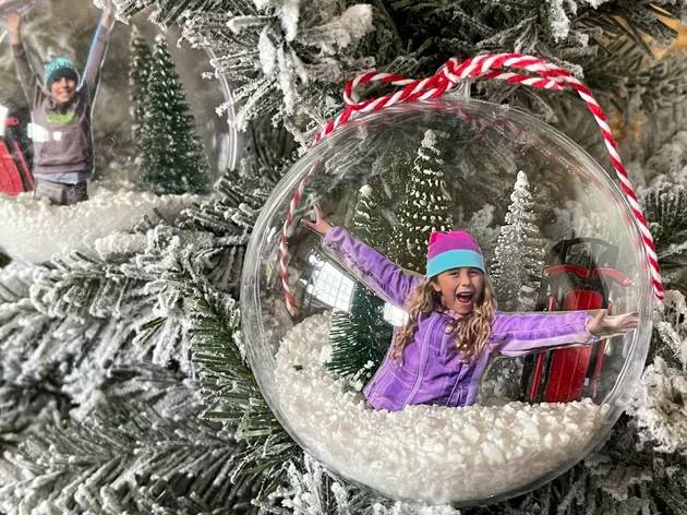 30 DIY Waterless Snow Globe Ideas Image