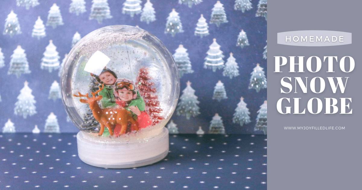 30 DIY Waterless Snow Globe Ideas Image