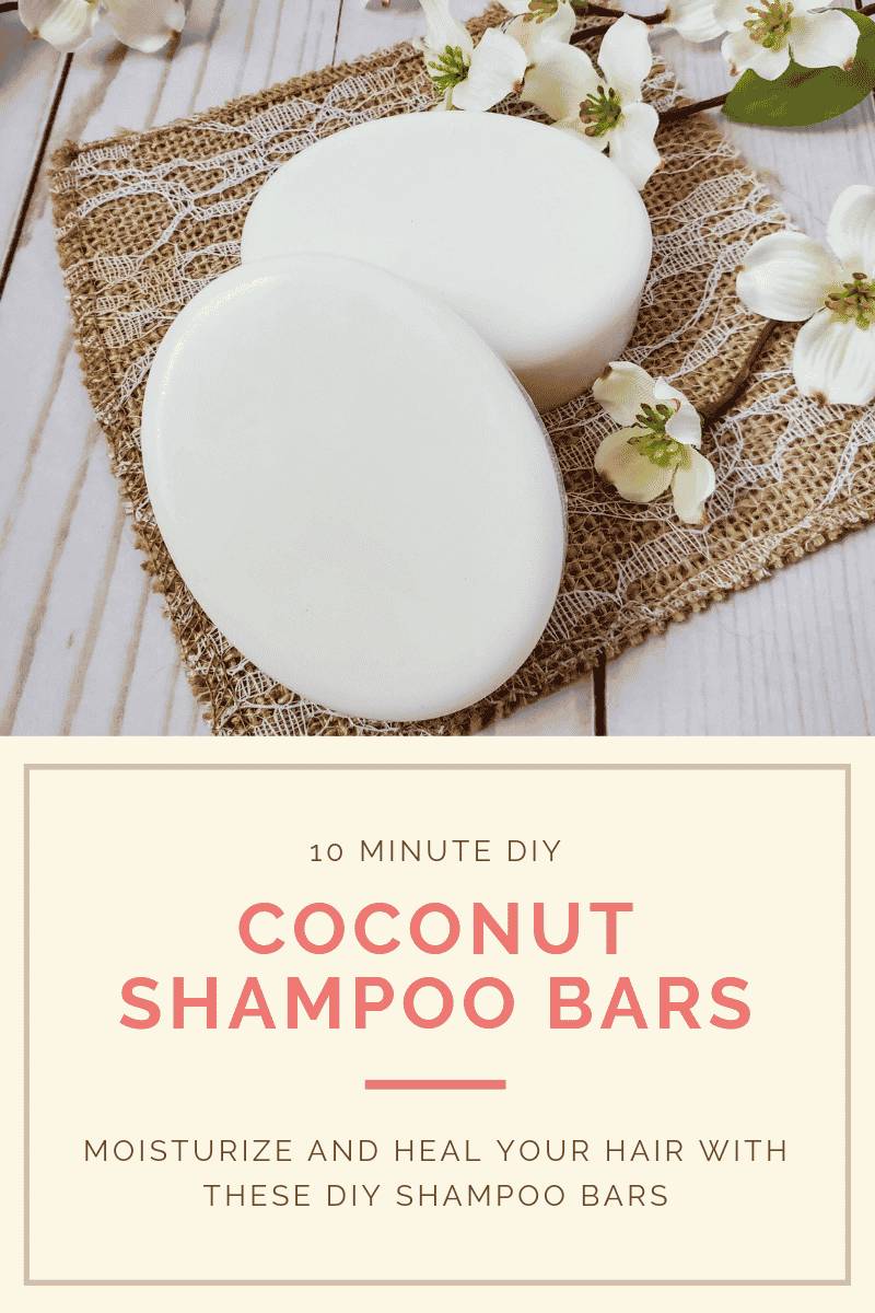 24 Melt and Pour Shampoo Bar Recipes Image