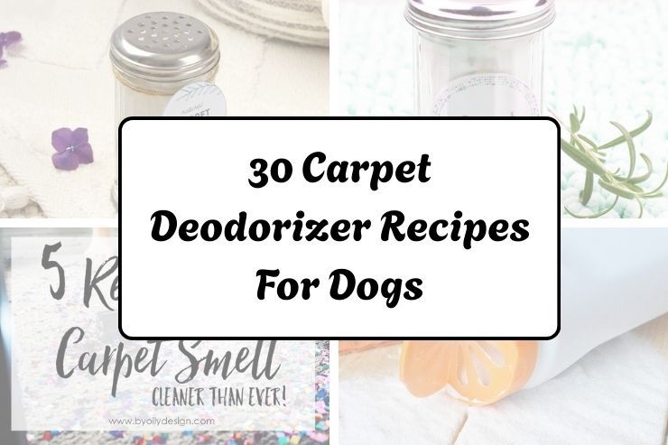 30 Carpet Deodorizer DIY Dogs Recipes