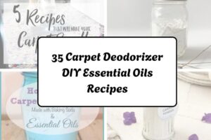 35 Carpet Deodorizer DIY Essential Oils Recipes httpshelthdestiny.comcarpet-deodorizer-diy-essential-oils-recipes_20251220065519