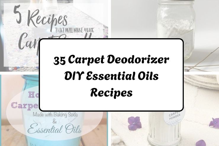 35 Carpet Deodorizer DIY Essential Oils Recipes