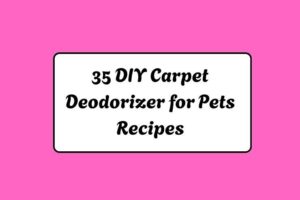 35 DIY Carpet Deodorizer for Pets Recipes httpshelthdestiny.comdiy-carpet-deodorizer-pets-recipes_20251220070039