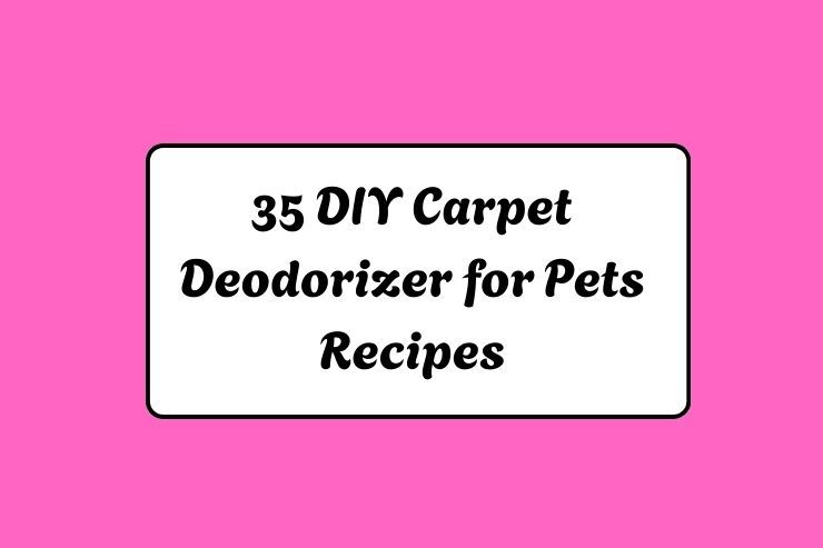 35 DIY Carpet Deodorizer for Pets Recipes