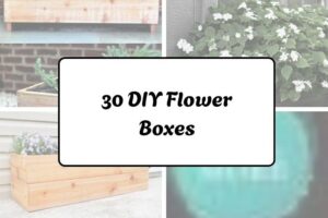 30 DIY Flower Boxes httpshelthdestiny.comdiy-flower-boxes_20251220065354