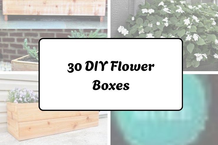 30 DIY Flower Boxes