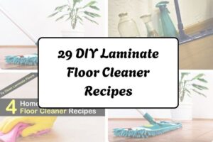 29 DIY Laminate Floor Cleaner Recipes httpshelthdestiny.comdiy-laminate-floor-cleaner-recipes_20251220065432