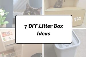 7 DIY Litter Box Ideas httpshelthdestiny.comdiy-litter-box-ideas_20251220064844