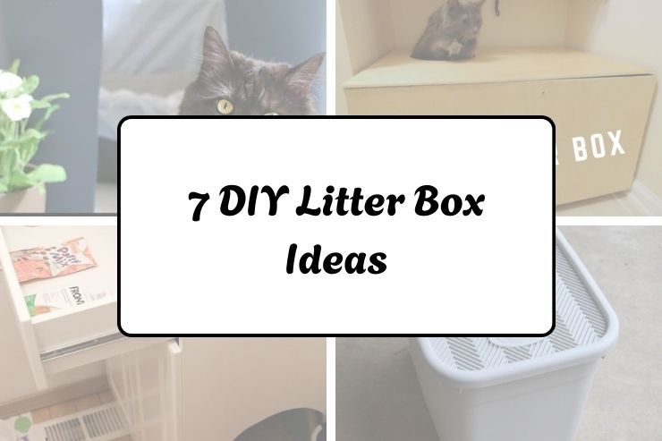 7 DIY Litter Box Ideas