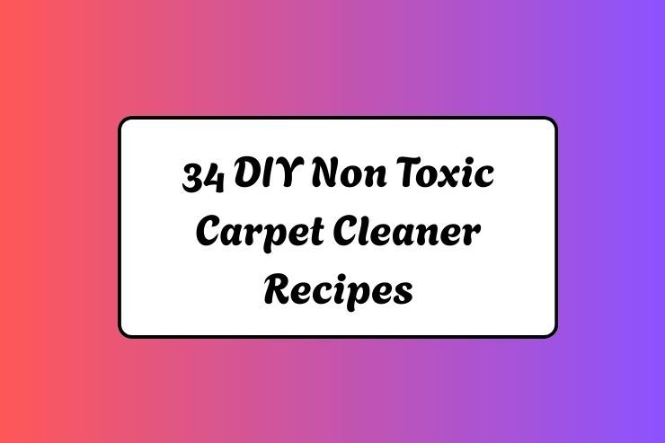 34 DIY Non Toxic Carpet Cleaner Recipes
