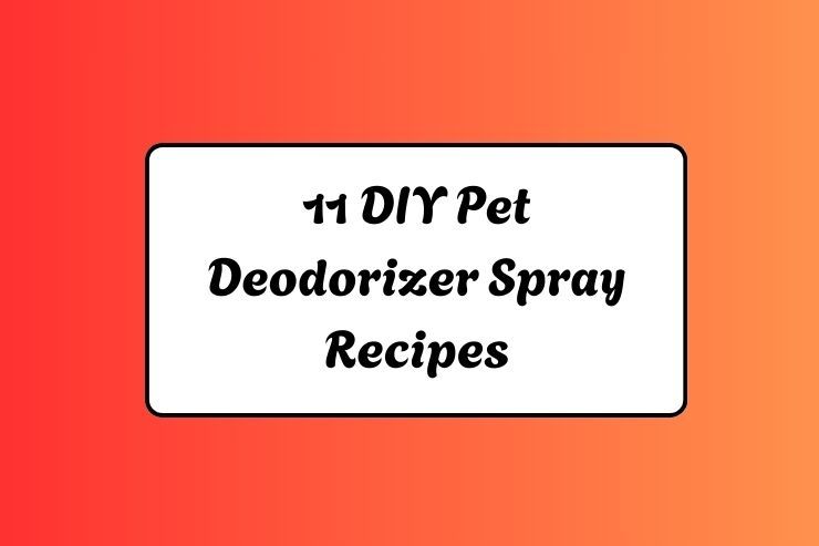11 DIY Pet Deodorizer Spray Recipes