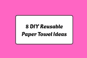 httpshelthdestiny.comdiy-reusable-paper-towel-ideas_20251220074301