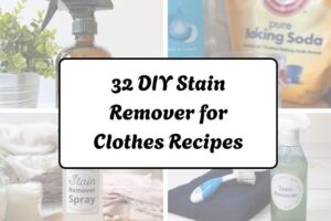 httpshelthdestiny.comdiy-stain-remover-clothes-recipes-2_20251220065924