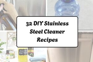 httpshelthdestiny.comdiy-stainless-steel-cleaner-recipes_20251220065414