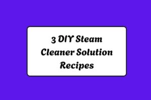 3 DIY Steam Cleaner Solution Recipes httpshelthdestiny.comdiy-steam-cleaner-solution-recipes_20251220084601