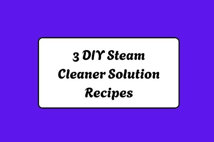 3 DIY Steam Cleaner Solution Recipes