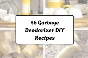 httpshelthdestiny.comgarbage-deodorizer-diy-recipes_20251220070252