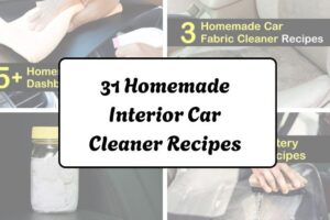 httpshelthdestiny.comhomemade-interior-car-cleaner-recipes_20251220073926