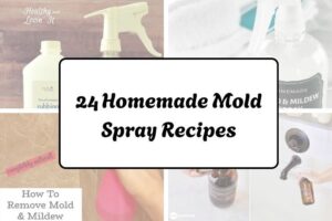 httpshelthdestiny.comhomemade-mold-spray-recipes_20251220070013
