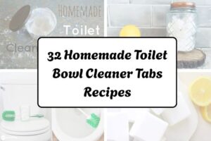 httpshelthdestiny.comhomemade-toilet-bowl-cleaner-tabs-recipes_20251220073716