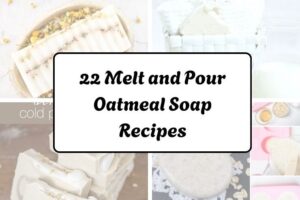 22 Melt and Pour Oatmeal Soap Recipes httpshelthdestiny.commelt-and-pour-oatmeal-soap-recipes_20251220073437