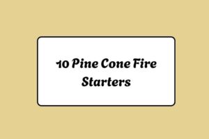 httpshelthdestiny.compine-cone-fire-starters_20251220074359