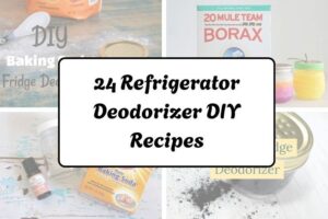 httpshelthdestiny.comrefrigerator-deodorizer-diy-recipes_20251220065441