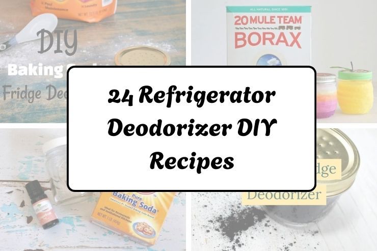 24 Refrigerator Deodorizer DIY Recipes