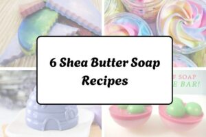 httpshelthdestiny.comshea-butter-soap-recipes_20251220065316