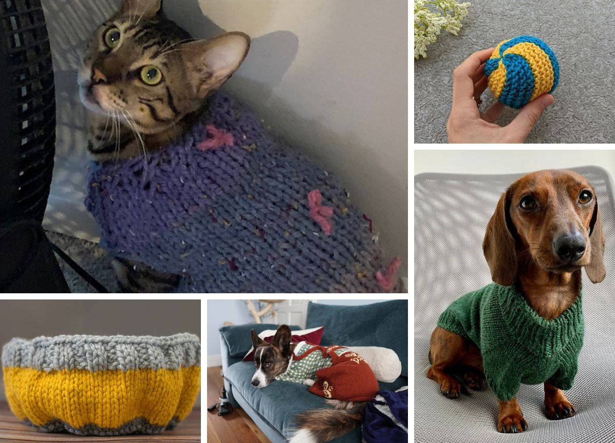 25 Knit Chihuahua Sweater Patterns Image