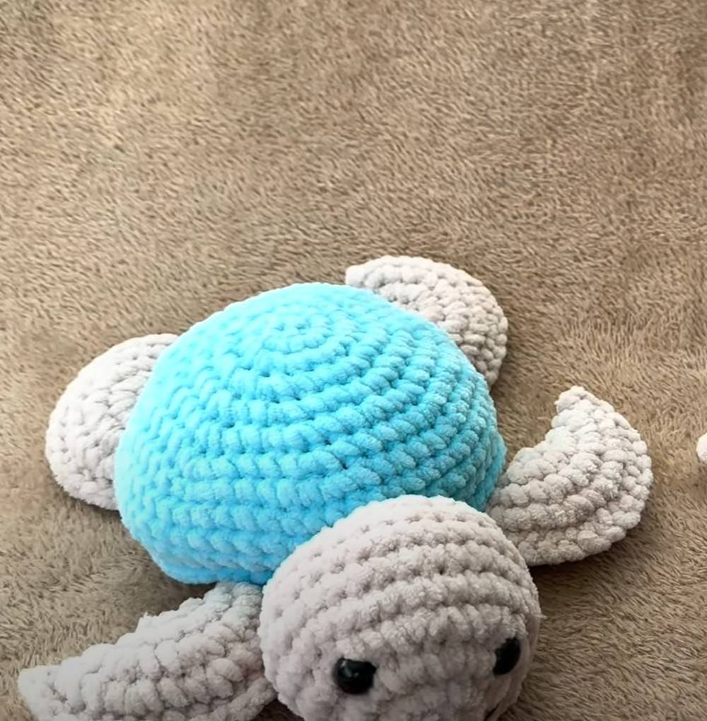 30 Rose Turtle Crochet Patterns Image